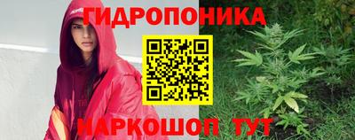 ECSTASY Гусев