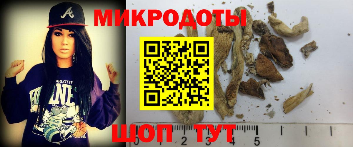 Псилоцибиновые грибы GOLDEN TEACHER  Вход с VPN  Зеленогорск 